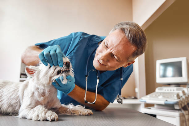 Best After-Hours Emergency Dentist in Lubbock, TX